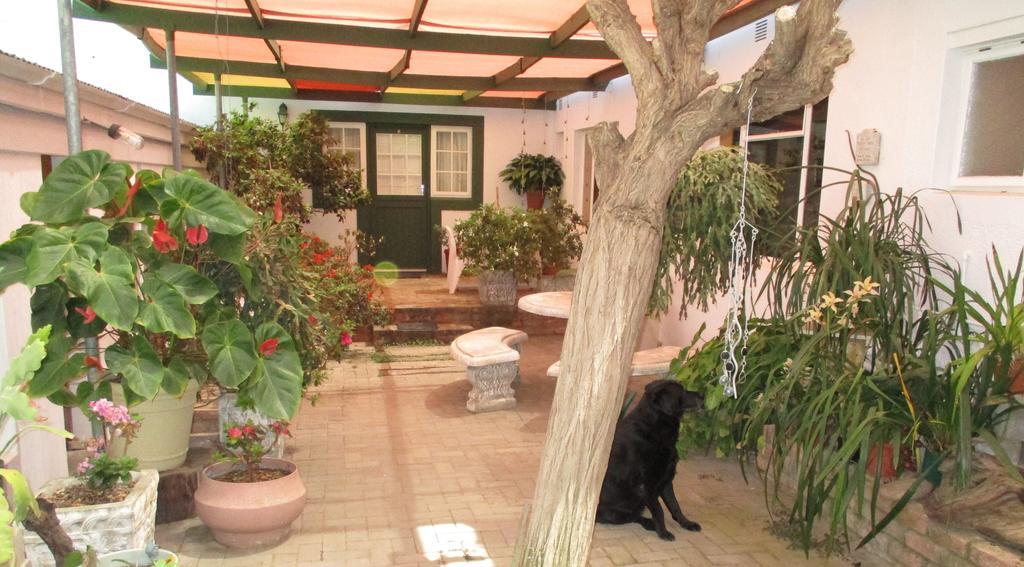 Van Rhyn Guest House Vanrhynsdorp エクステリア 写真